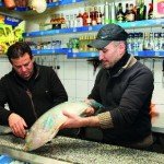 Magazin Garcon Nr.25025