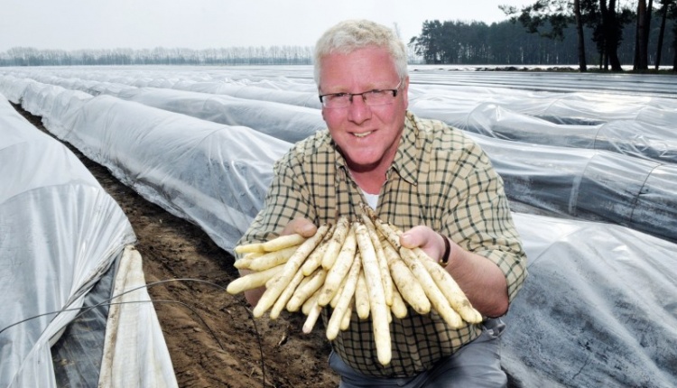 Spargelbauer Josef Jakobs Spargelhof in Schäpe