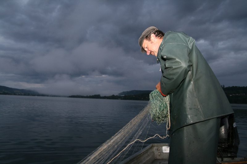 Albin Fischerei Bodensee (3)