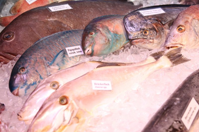 Dr. Keller Fischinformationszentrum (1)