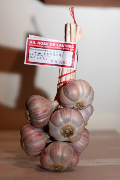 Anaïs-Causse©garcon24.de