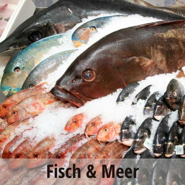 Neue Markthalle Fisch &amp; Meer Fläche 1200x1200