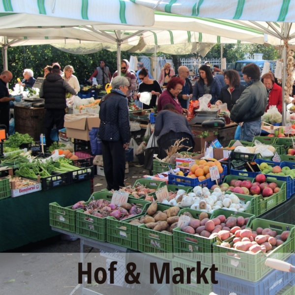 Neue Markthalle Marktstände &amp;amp; Hofläden Fläche 1200x1200
