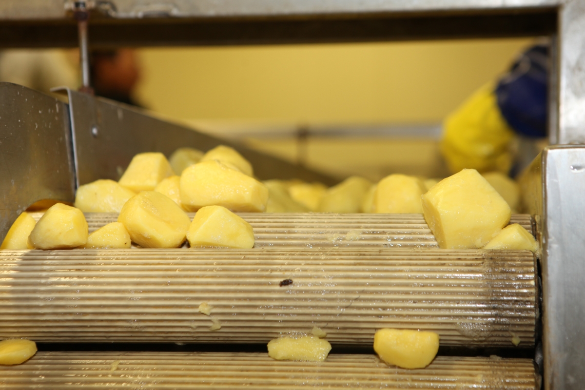 Neuzelle Schälmaschine