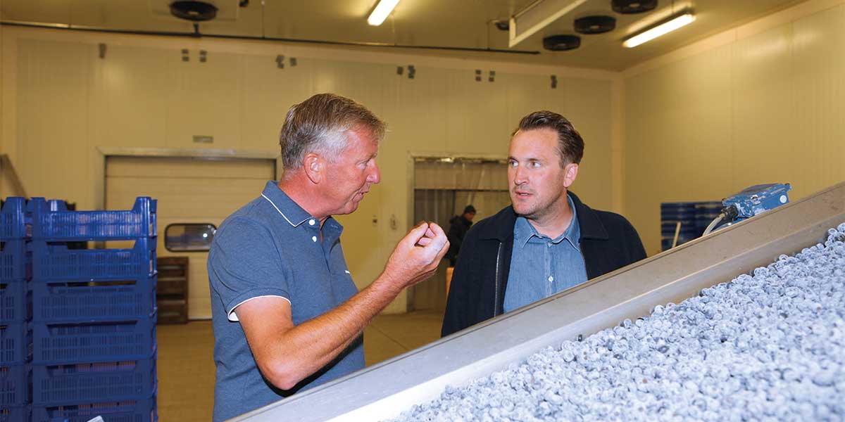 Fuhrmanns Kulturheidelbeere Jürgen Jakobs, Chef des Jakobs-Hofes Beelitz und Johannes Ehrenberg