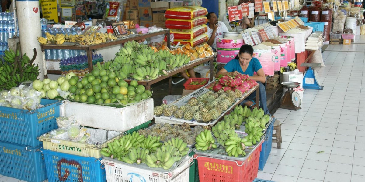 Fuhrmann-Nam-Dok-Mai